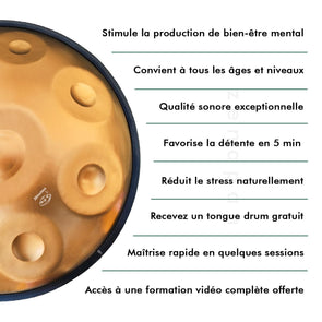 Handpan 9/10 notas Ré menor Céltico